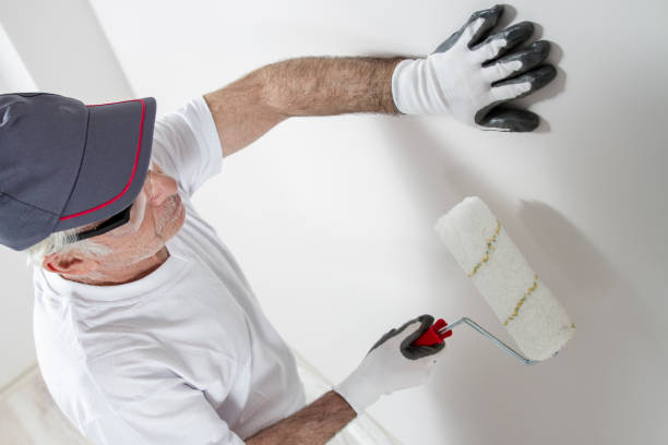 Best Mold Remediation for Rental Properties  in Springdale, AR