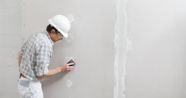 Best Attic Mold Removal  in Springdale, AR