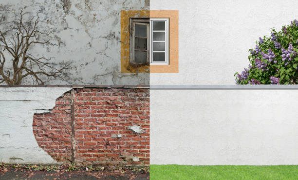 Best Mold Removal for HVAC Installations  in Springdale, AR